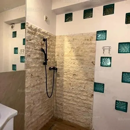 Fenyvesi * 鲍洛通费尼韦什